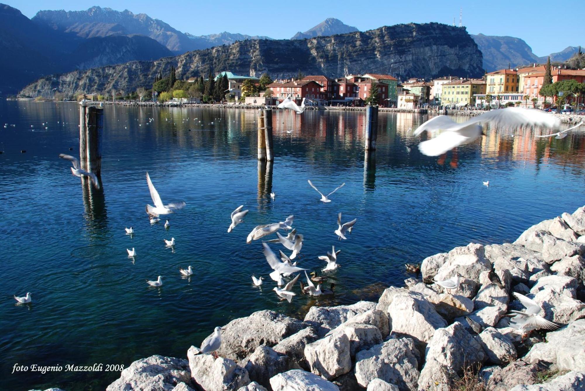 Casa Marco Apartment Torbole Sul Garda Exterior photo